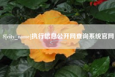 上杭执行信息公开网查询系统官网