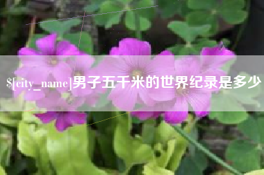 上杭男子五千米的世界纪录是多少