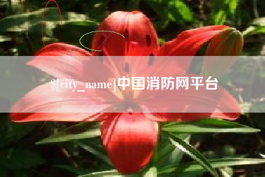 上杭中国消防网平台