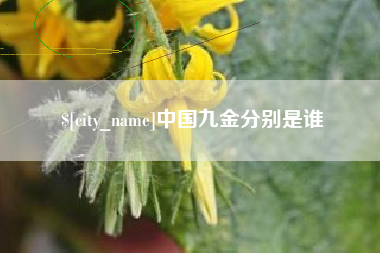 上杭中国九金分别是谁