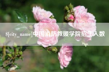 上杭中国消防救援学院招生人数