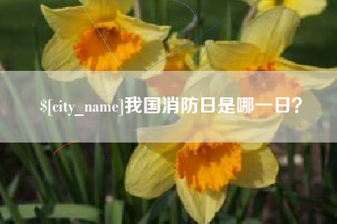 上杭我国消防日是哪一日？