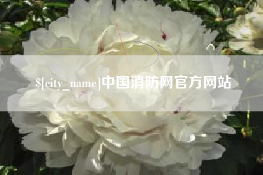 上杭中国消防网官方网站