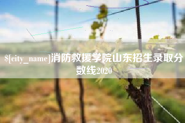 上杭消防救援学院山东招生录取分数线2020