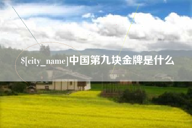 上杭中国第九块金牌是什么