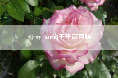 上杭王子豪百科