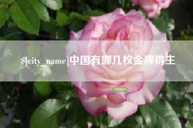 上杭中国有哪几枚金牌得主