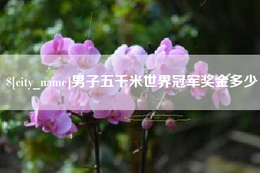 上杭男子五千米世界冠军奖金多少