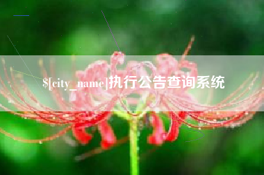 上杭执行公告查询系统