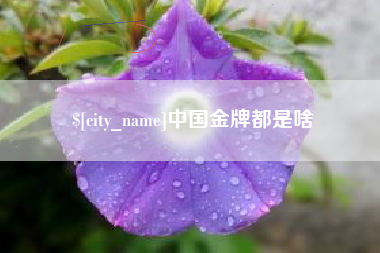 上杭中国金牌都是啥
