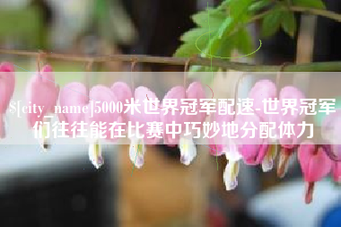 上杭5000米世界冠军配速-世界冠军们往往能在比赛中巧妙地分配体力
