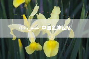 上杭中国金牌包括