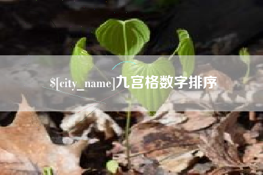 上杭九宫格数字排序
