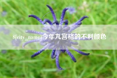 上杭今年九宫格的不利颜色