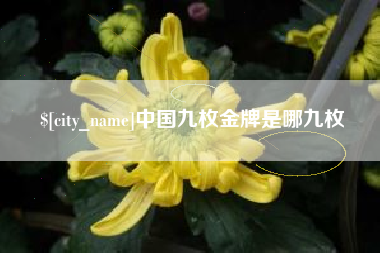 上杭中国九枚金牌是哪九枚