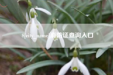上杭消防证查询入口