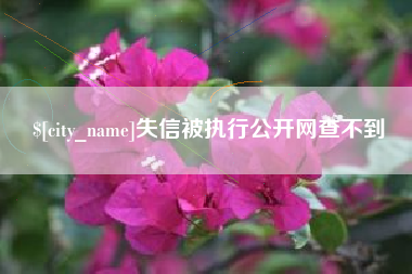 上杭失信被执行公开网查不到