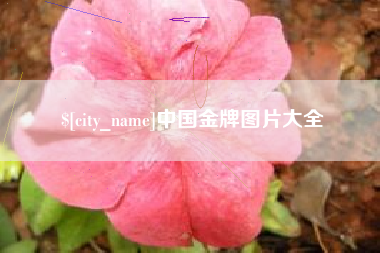 上杭中国金牌图片大全