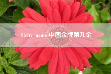 上杭中国金牌第九金