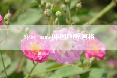 上杭中国地图9宫格