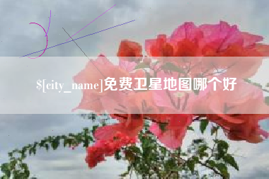 上杭免费卫星地图哪个好