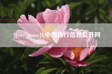 上杭1.中国执行信息公开网