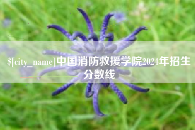 上杭中国消防救援学院2024年招生分数线