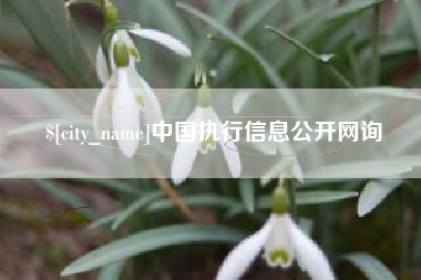 上杭中国执行信息公开网询