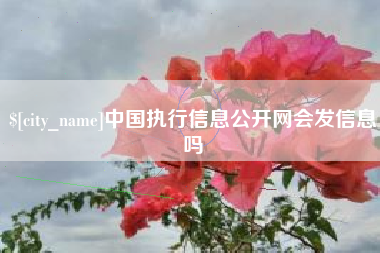 上杭中国执行信息公开网会发信息吗