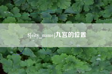上杭九宫的位置