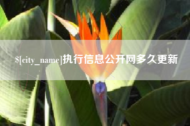 上杭执行信息公开网多久更新