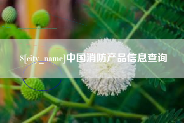 上杭中国消防产品信息查询