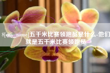 上杭五千米比赛领跑员是什么-他们就是五千米比赛领跑员