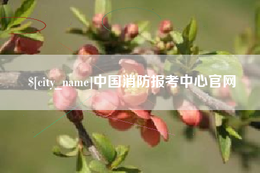 上杭中国消防报考中心官网