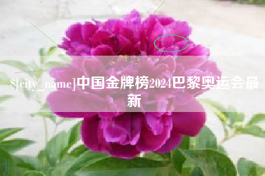 上杭中国金牌榜2024巴黎奥运会最新