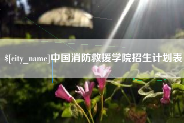 上杭中国消防救援学院招生计划表