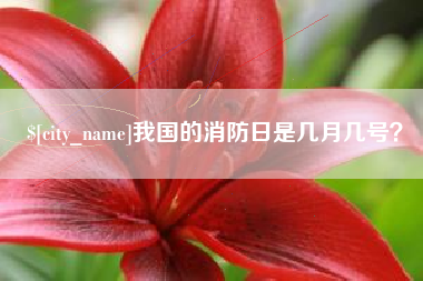 上杭我国的消防日是几月几号？