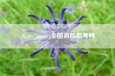 上杭全国消防招考网