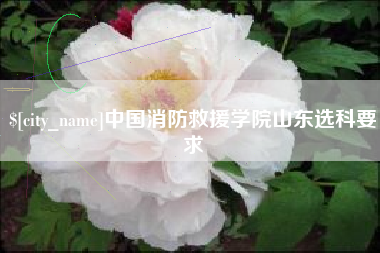 上杭中国消防救援学院山东选科要求