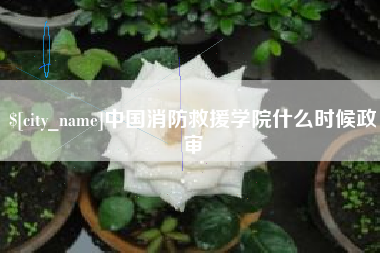 上杭中国消防救援学院什么时候政审