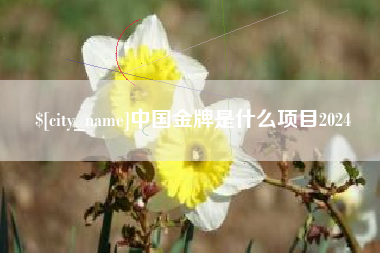 上杭中国金牌是什么项目2024