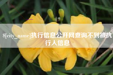上杭执行信息公开网查询不到被执行人信息