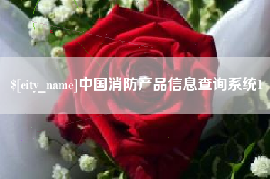 上杭中国消防产品信息查询系统1