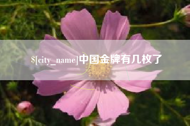 上杭中国金牌有几枚了