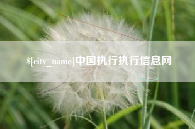 上杭中国执行执行信息网