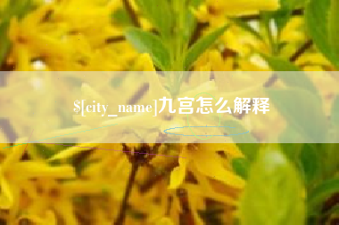 上杭九宫怎么解释