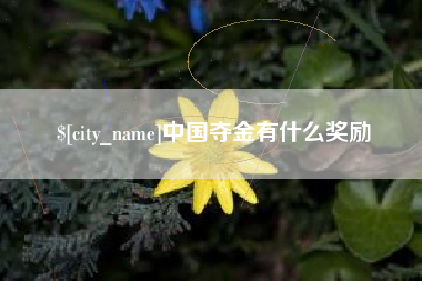 上杭中国夺金有什么奖励