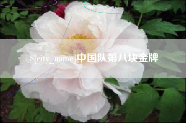 上杭中国队第八块金牌