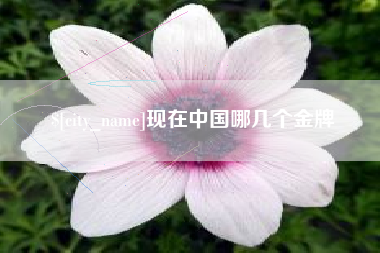 上杭现在中国哪几个金牌