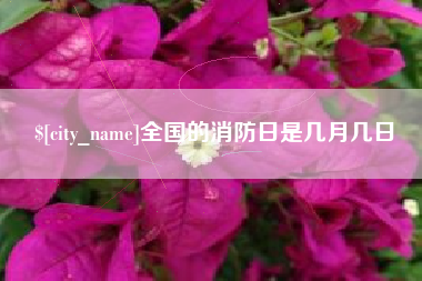 上杭全国的消防日是几月几日
